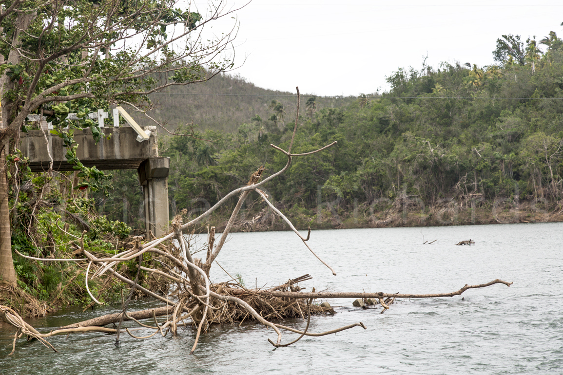 Once there was a Bridge Here