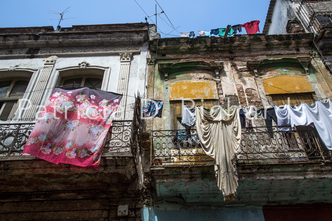 havana drying