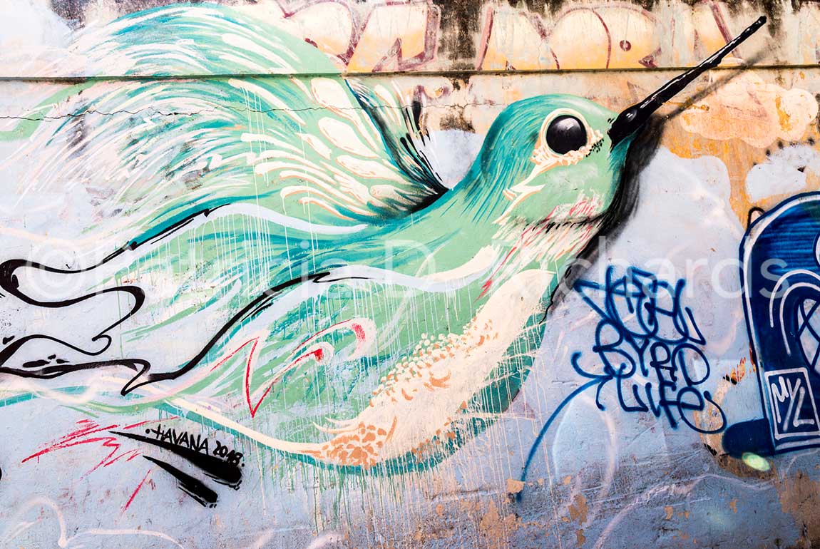 wall-art-central-havana