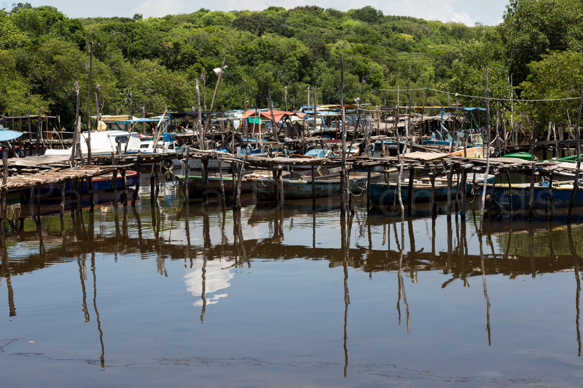 Reflections on a Good Day