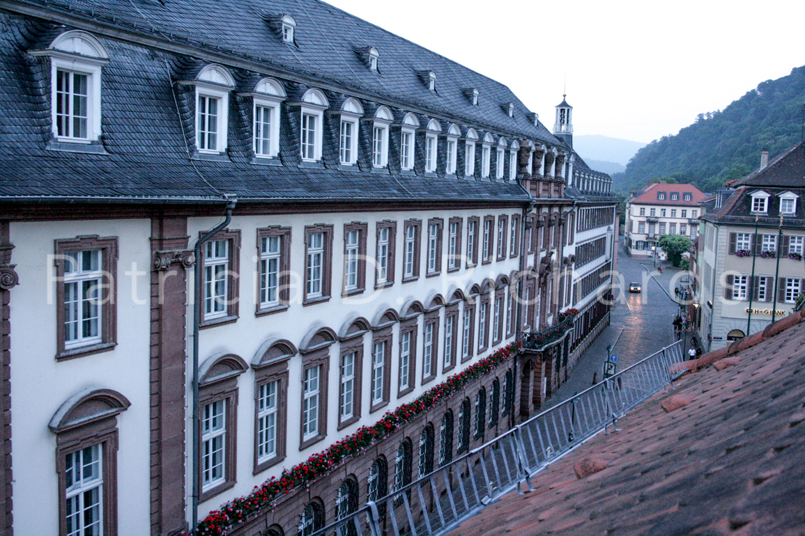 heidelberg in the rain