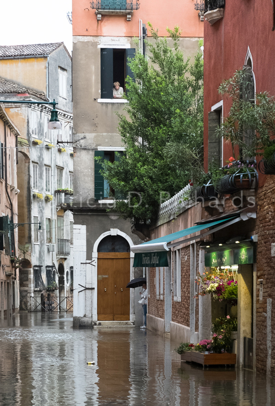 high water venice