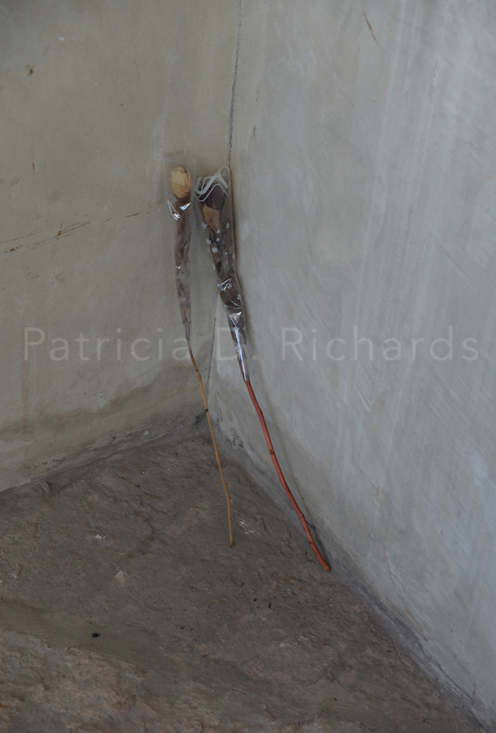 a rose by any other name