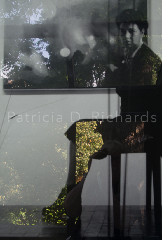 peggy guggenheims garden