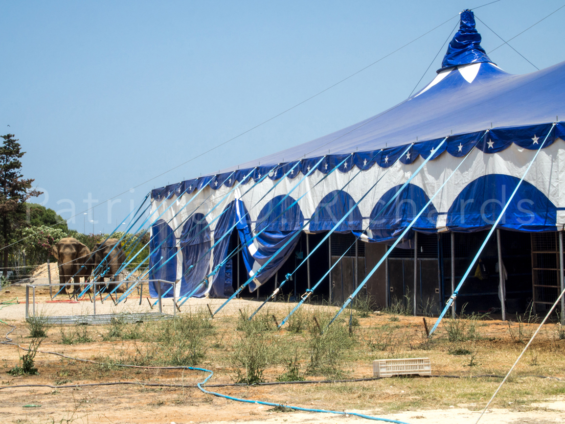 berlin circus rota spain