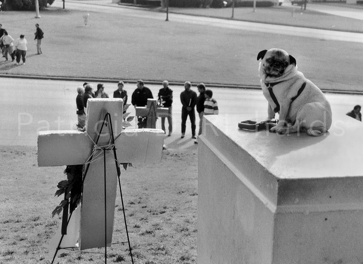 Where Zapruder once stood