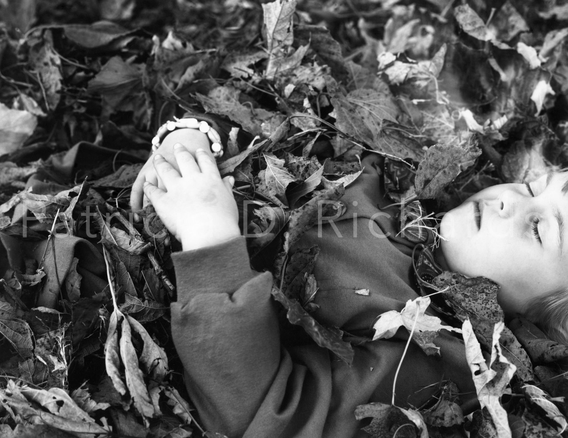 dead leaves and fairies