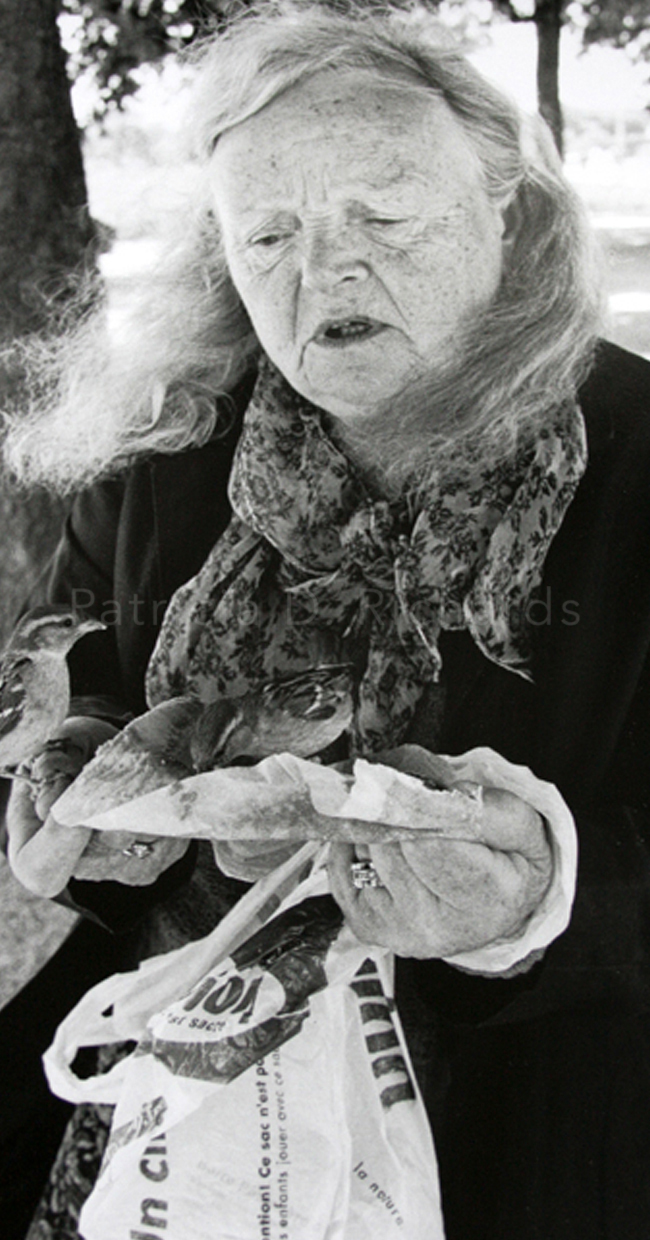 Bird Feeder at the Tuilleries Gardens